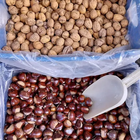 Apartment Marousos Central Guesthouse