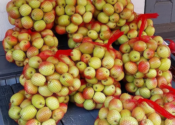 Apartament Marousos *